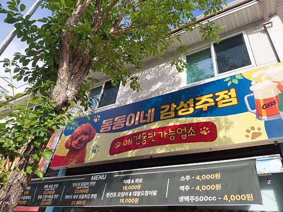 동동이네 · 네이버 지도·플레이스 10