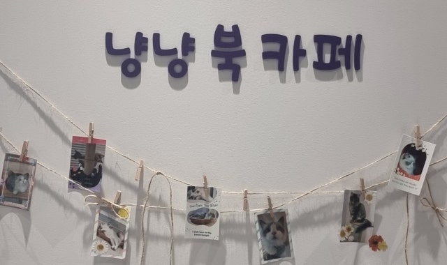 냥냥북카페 대표 사진