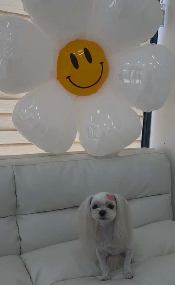 곰솔이네 · 네이버 지도·플레이스 5