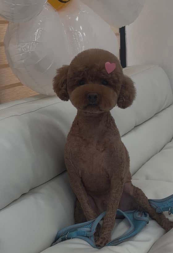 곰솔이네 · 네이버 지도·플레이스 6