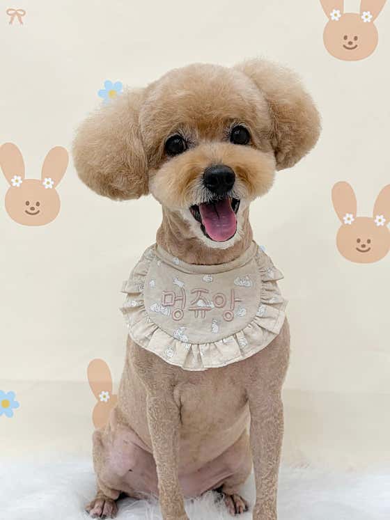 멍쥬앙 · 네이버 지도·플레이스 2