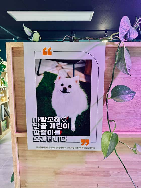 크렘캉캉 · 네이버 지도·플레이스 9