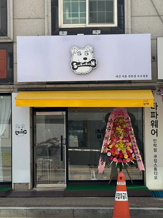 수수살롱 애견미용실 · 네이버 지도·플레이스 2