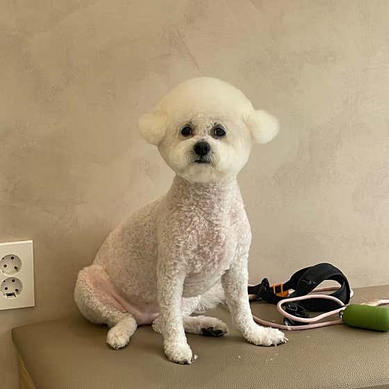 뿌꾸까꾸 · 네이버 지도·플레이스 9