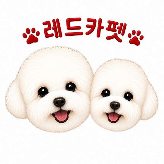 레드카펫