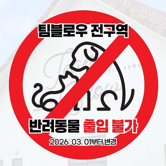 팀블로우