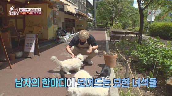 광교카페 소풍 · 네이버 지도·플레이스 7
