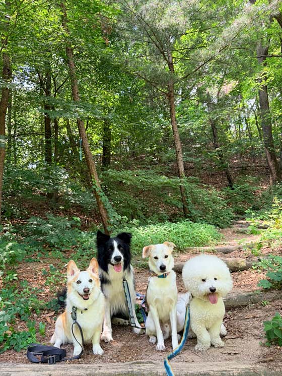 댕구르르 · 네이버 지도·플레이스 6