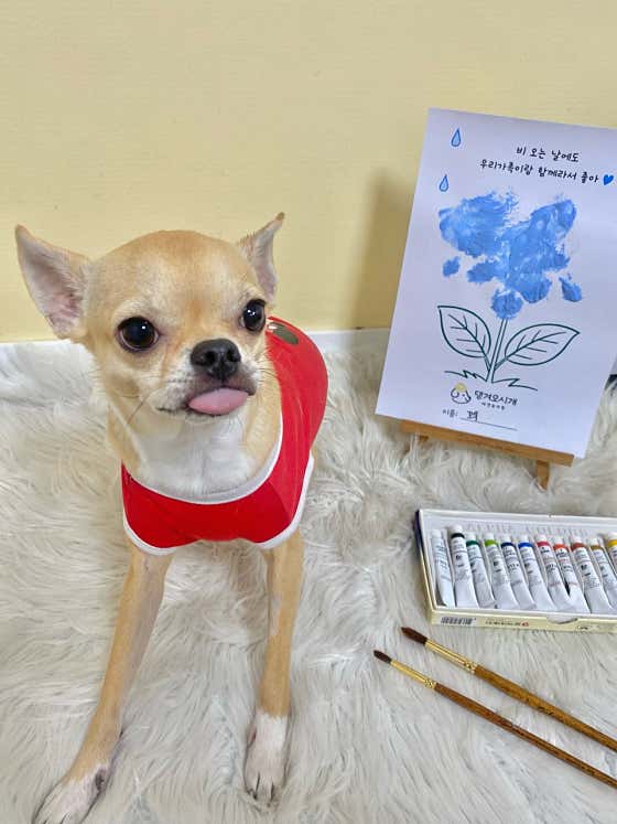 댕겨오시개 · 네이버 지도·플레이스 2