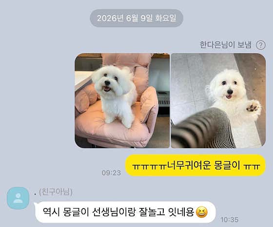 해피퍼피 · 네이버 지도·플레이스 4