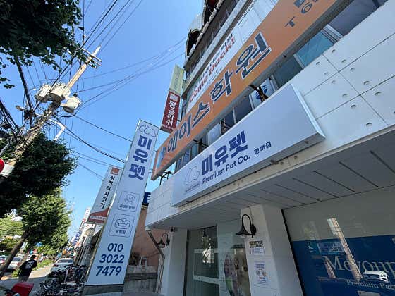 평택 강아지분양 고양이분양 미유펫 · 네이버 지도·플레이스 4