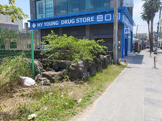 마이영약국 · 네이버 지도·플레이스 6