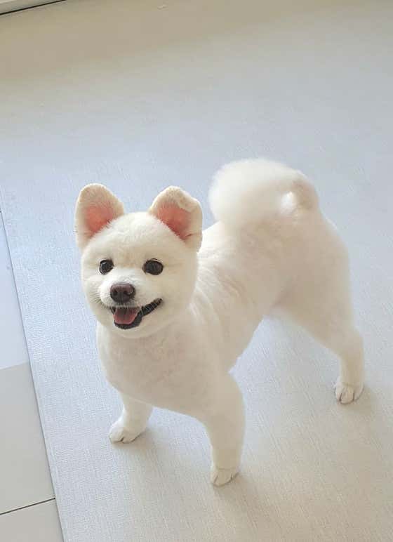 아르멍 · 네이버 지도·플레이스 9