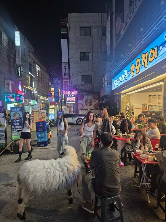 속초오징어어시장 신사점 · 네이버 지도·플레이스 7