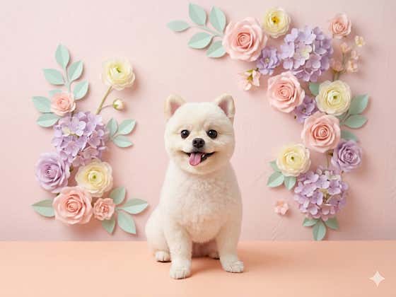 강아지테마파크