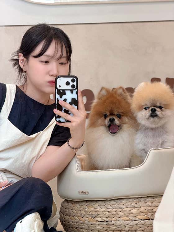 말랑포우 · 네이버 지도·플레이스 3