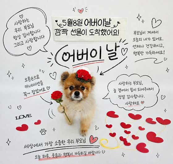 댕그니엘 · 네이버 지도·플레이스 8