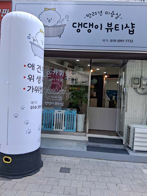 댕댕이뷰티샵