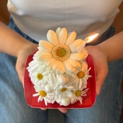 데이지요거트 (예약주문) 메뉴 사진(네이버)
