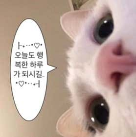 지문인식 수원혼술바 행궁동점 · 네이버 지도·플레이스 3