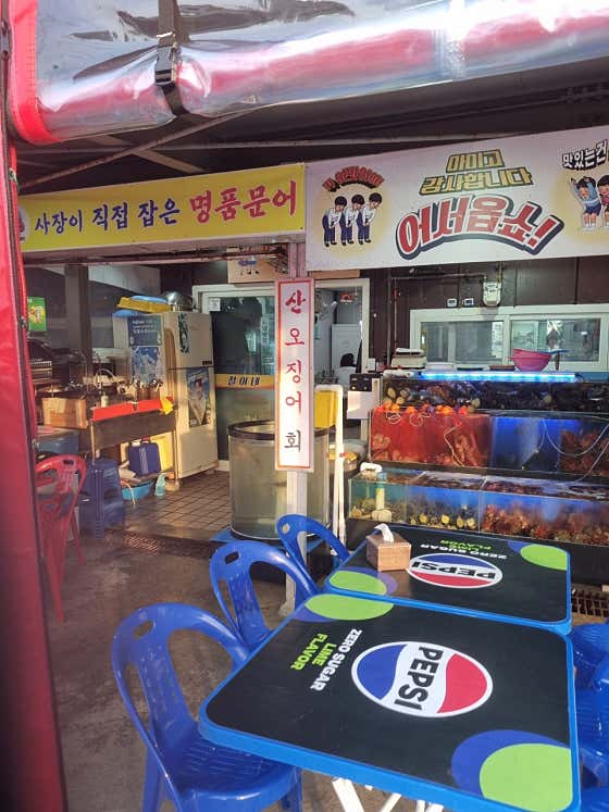 철이네