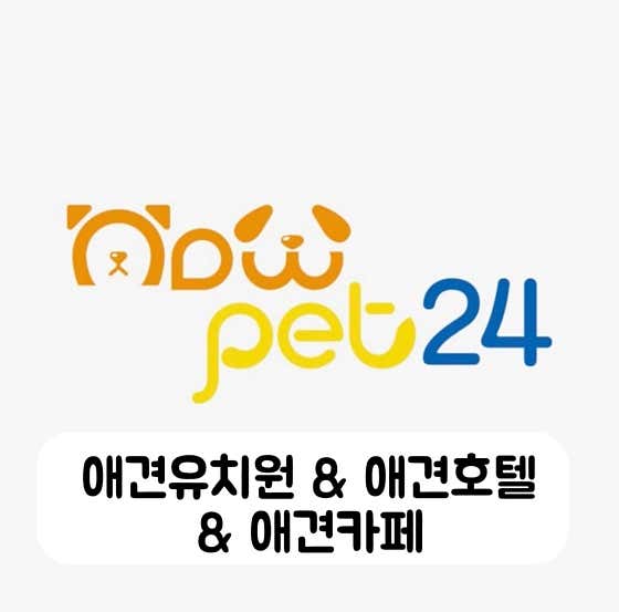 나우펫24