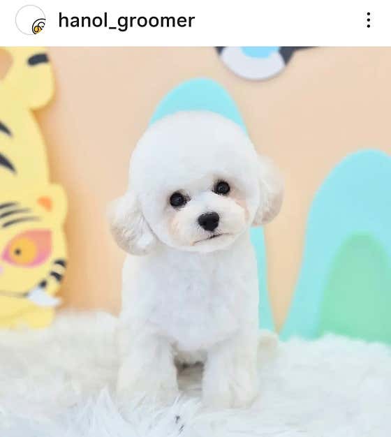 한올한올