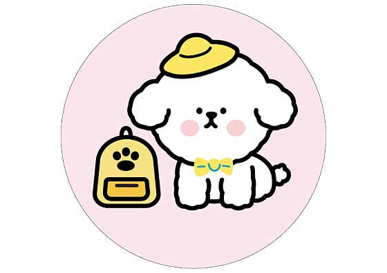 딩동댕애견스쿨 평택본점