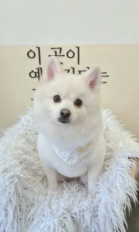 꽃분살롱 · 네이버 지도·플레이스 7