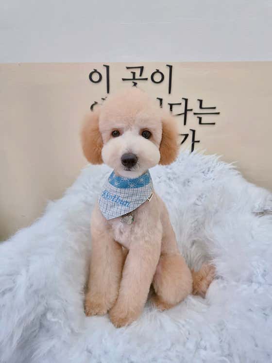 꽃분살롱 · 네이버 지도·플레이스 5