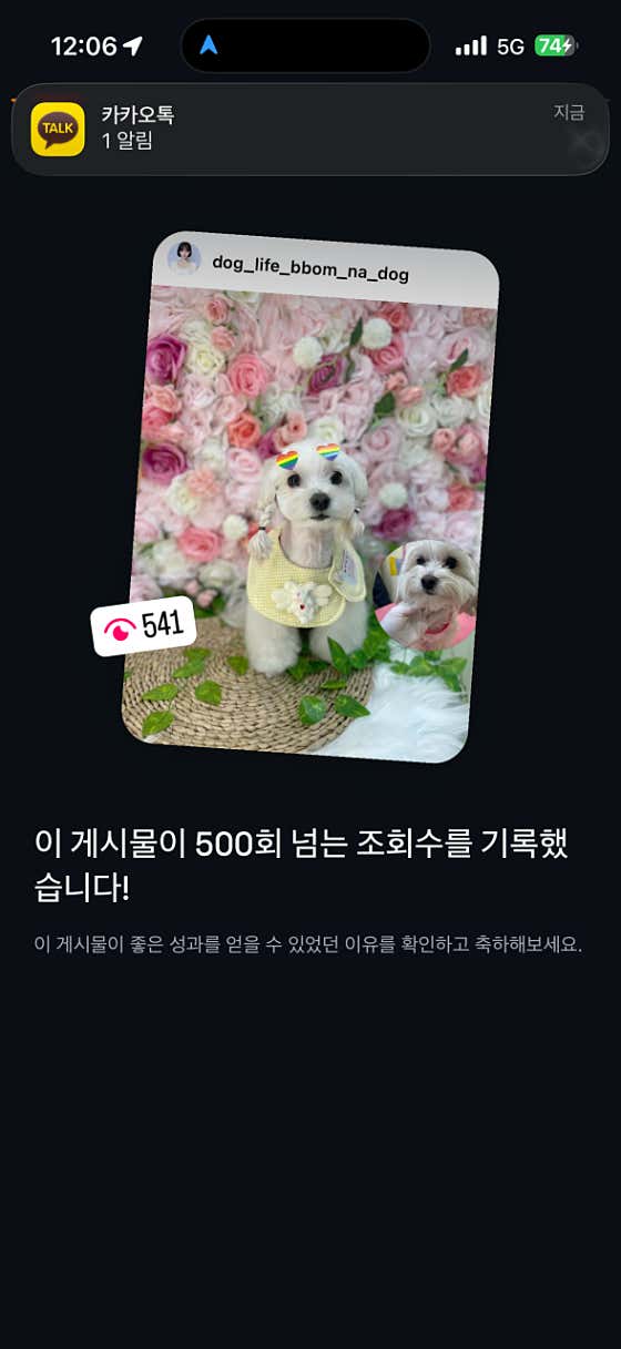 개인생뽐나개 · 네이버 지도·플레이스 6