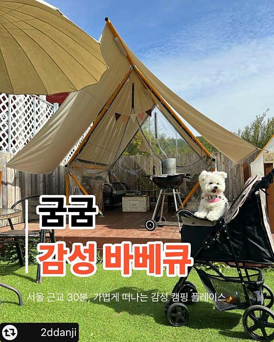 굼굼 · 네이버 지도·플레이스 2