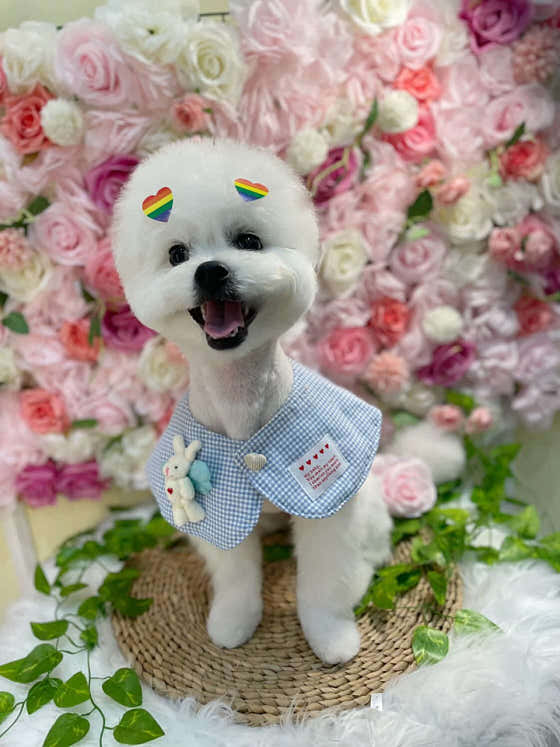 개인생뽐나개 · 네이버 지도·플레이스 8