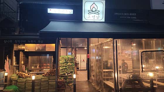 고영닭