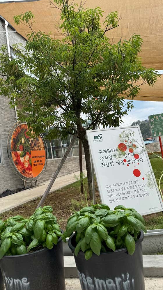 구계밀리 · 네이버 지도·플레이스 2