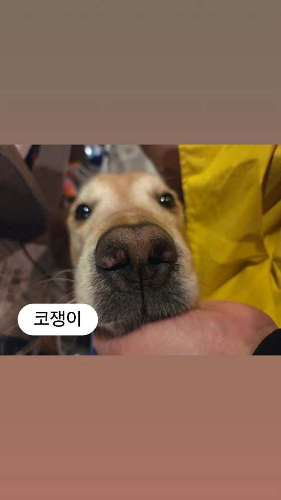 주남 · 네이버 지도·플레이스 9