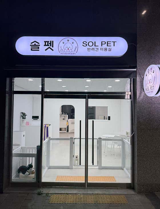 솔펫 · 네이버 지도·플레이스 2