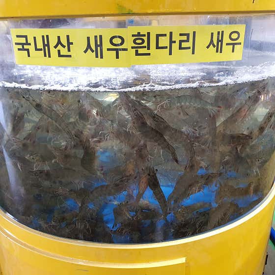 서하네&서해수산