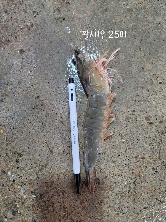 서하네&서해수산 · 네이버 지도·플레이스 2