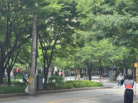 사랑과평화 · 네이버 지도·플레이스 8