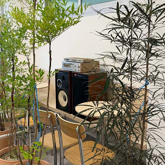 틴버 · 네이버 지도·플레이스 5