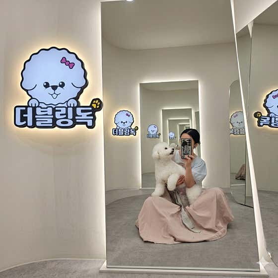 더블링독