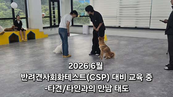도그라운지 · 네이버 지도·플레이스 3