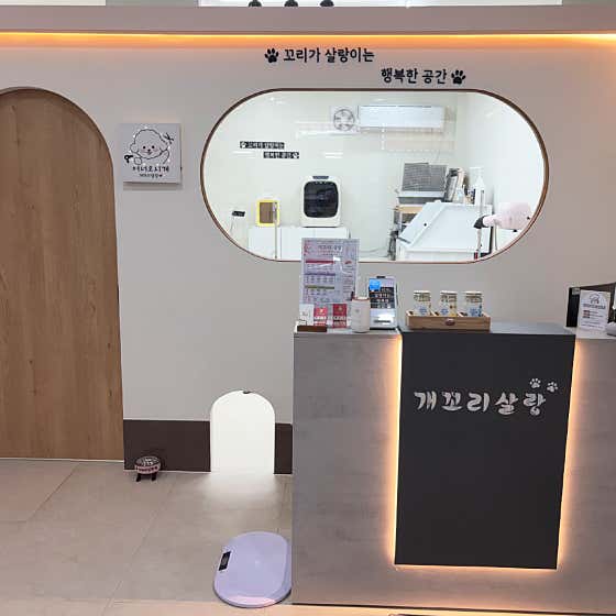 개꼬리살랑 · 네이버 지도·플레이스 2