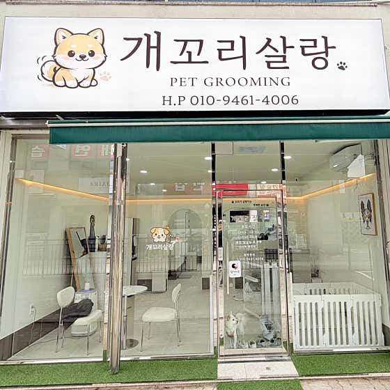 개꼬리살랑