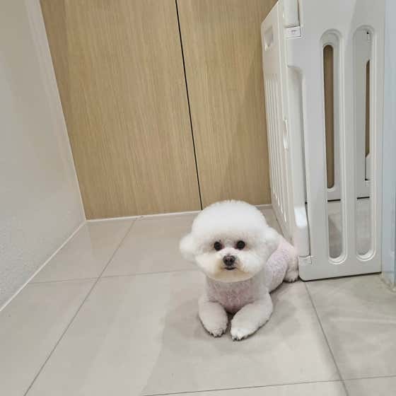 꼬순내 · 네이버 지도·플레이스 2