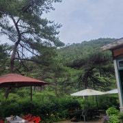 평상대여 메뉴 사진(네이버)