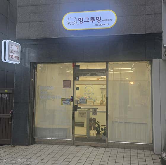 멍그루밍 · 네이버 지도·플레이스 2