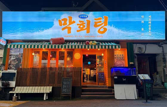 막회팅