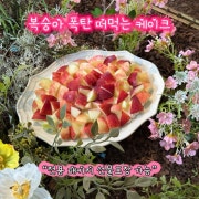 [시즌]복숭아 폭탄 떠먹는 케이크 메뉴 사진(네이버)